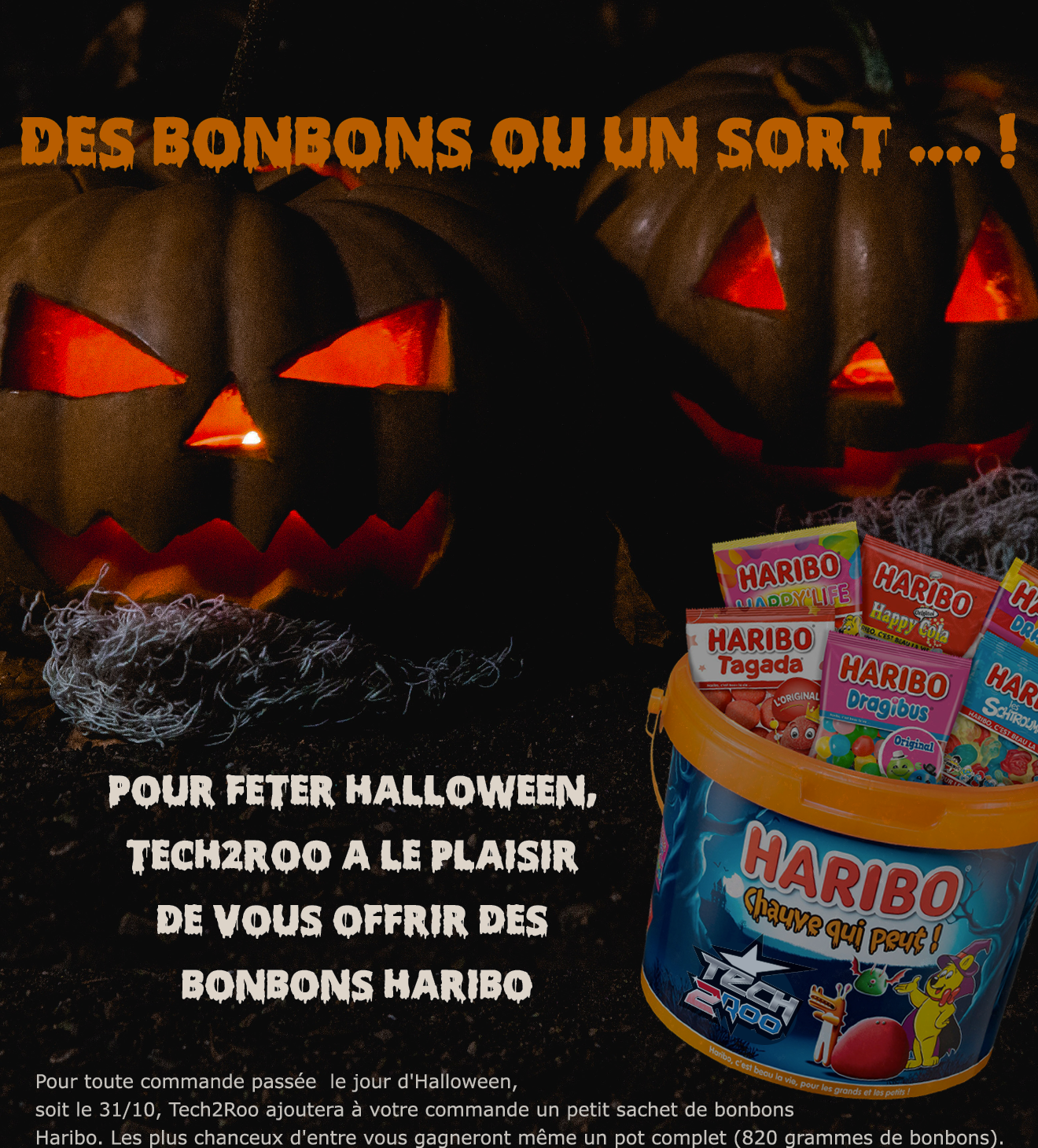 Flyer A5 - Newsletter