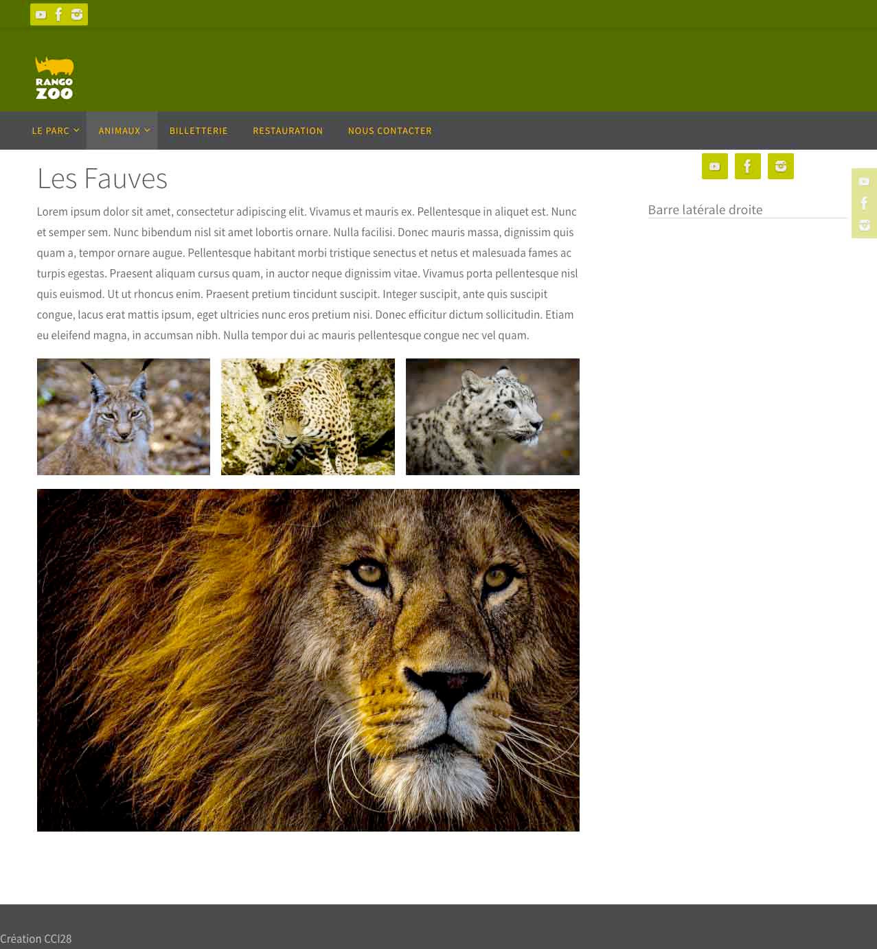 page_accueil_rango_zoo